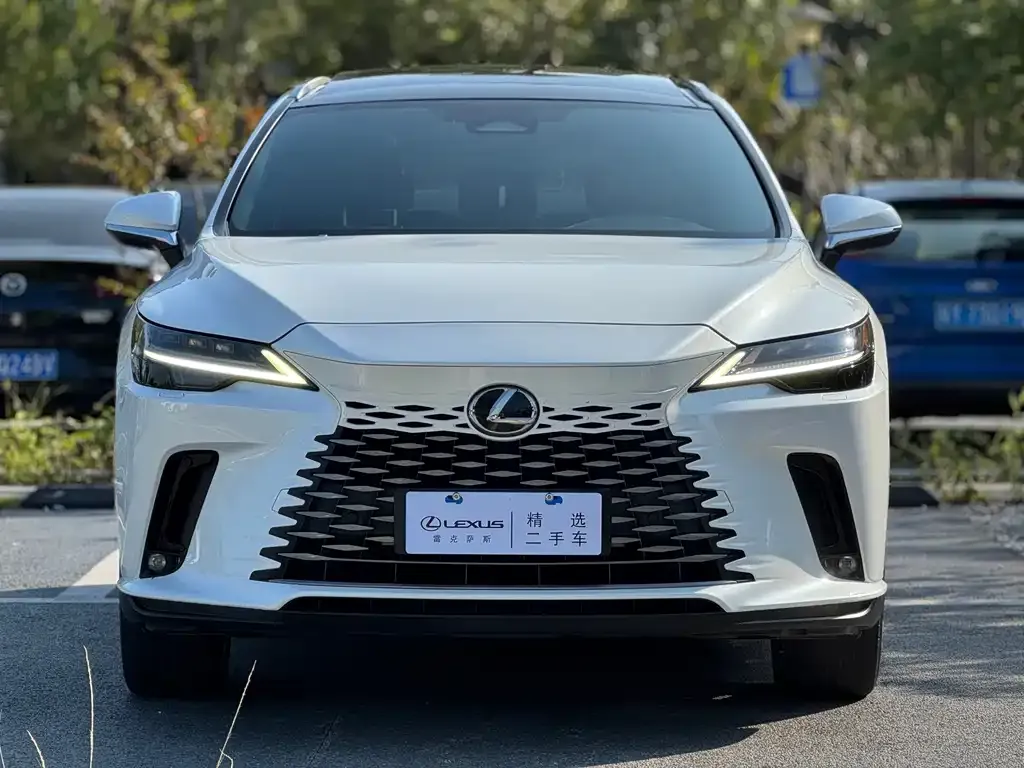 Lexus RX 2023 из CN, фото 2