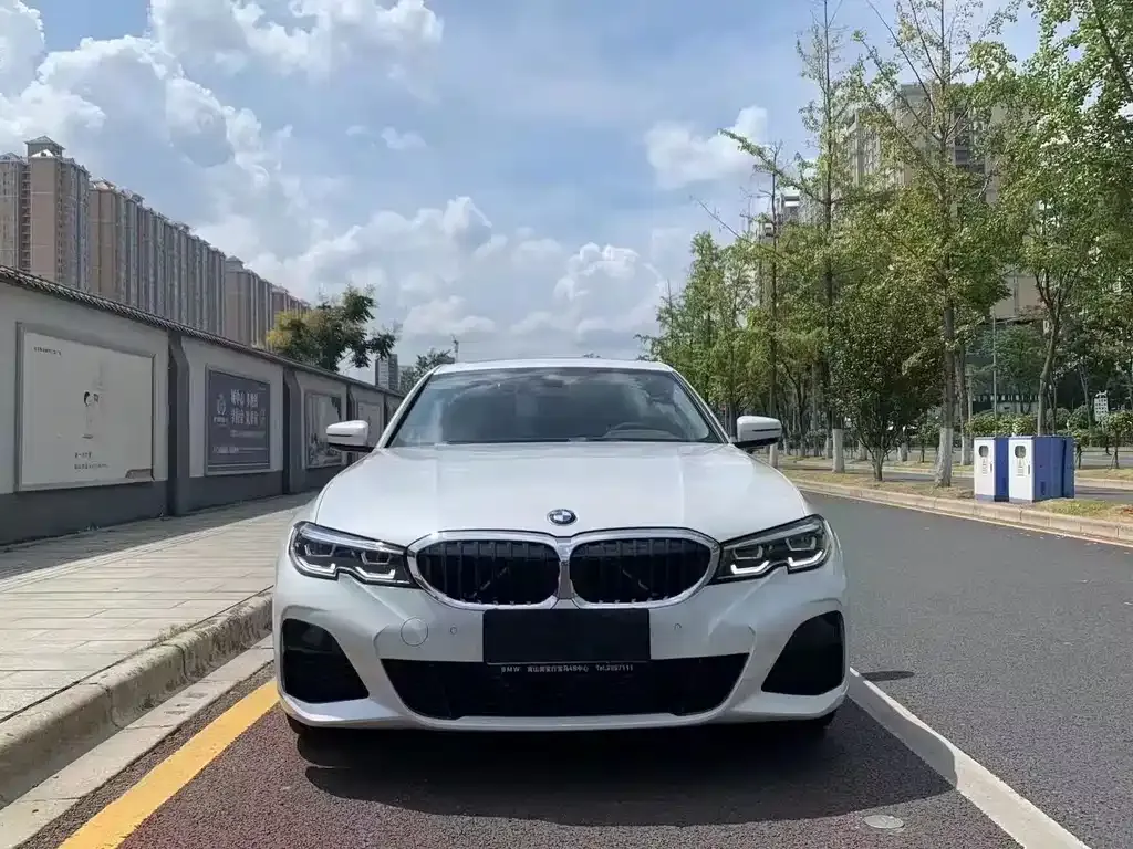 BMW 3 Series 2021 из CN, фото 2