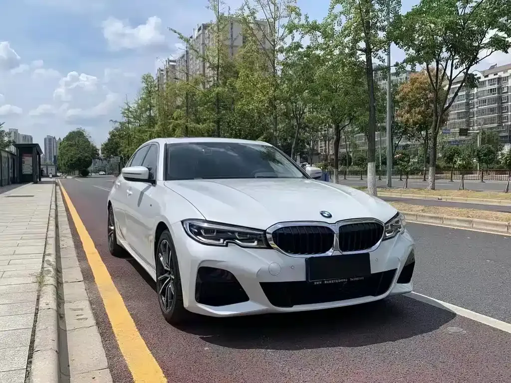 BMW 3 Series 2021 из CN, фото 3