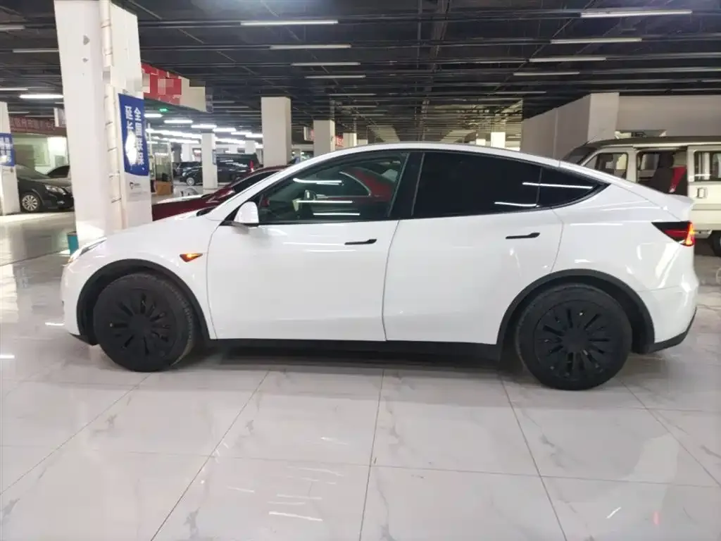 Tesla Model Y 2023 из CN, фото 5