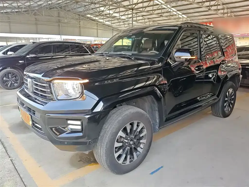 Tank 700 New Energy 2024 из CN, фото 5