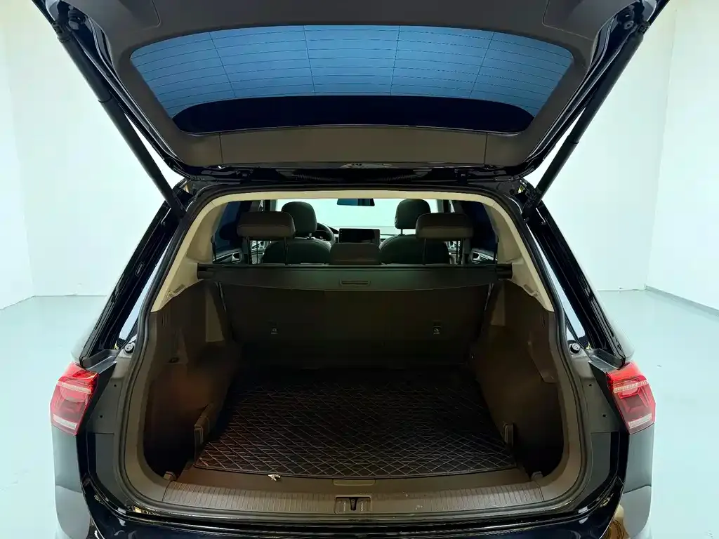 Volkswagen Tiguan L 2023 из CN, фото 6