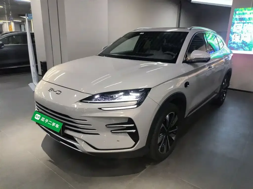 BYD PLUS New Energy — фото 1