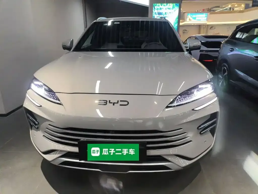 BYD PLUS New Energy — фото 3