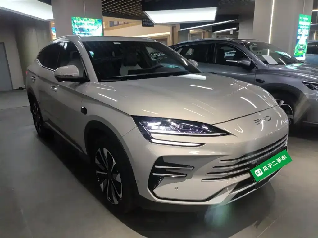 BYD PLUS New Energy — фото 4