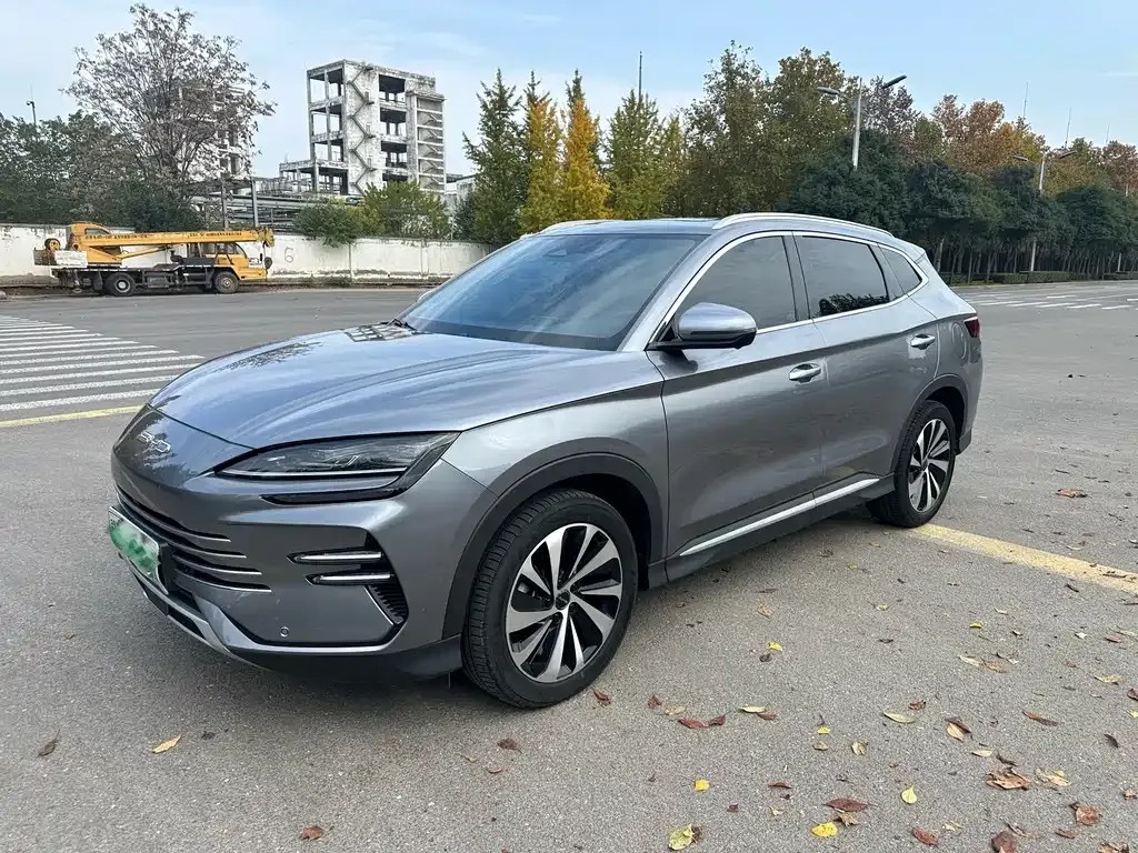 BYD PLUS New Energy — фото 1