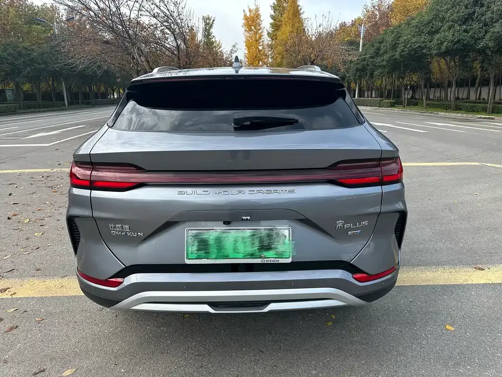 BYD PLUS New Energy — фото 8