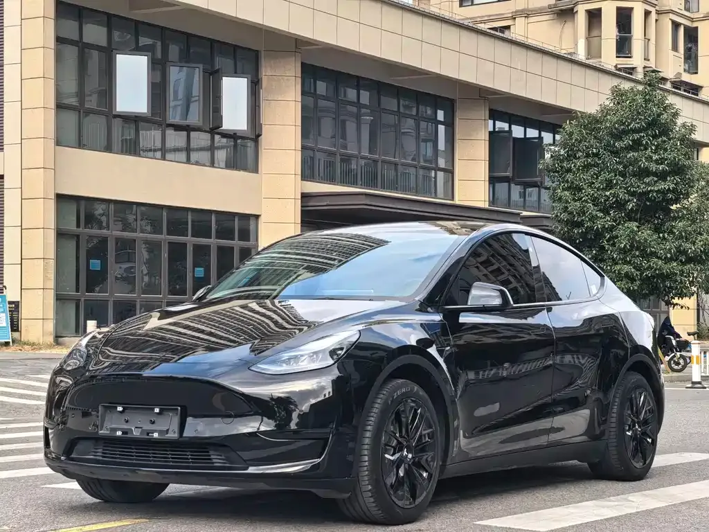 Tesla Model Y 2023 из CN, фото 1
