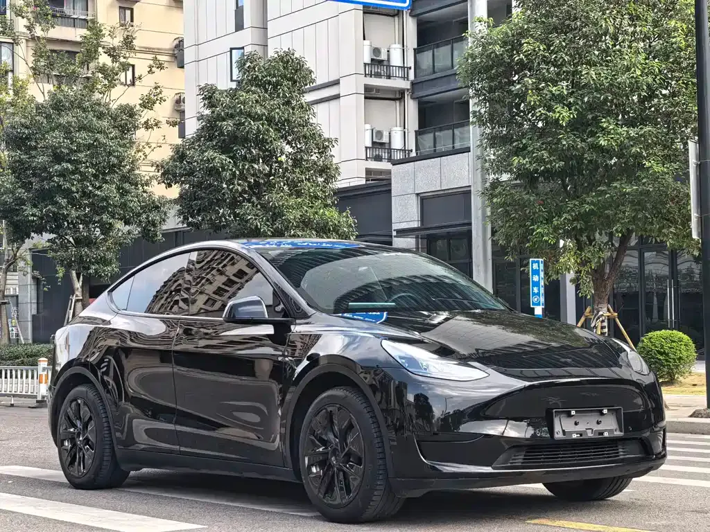 Tesla Model Y 2023 из CN, фото 3