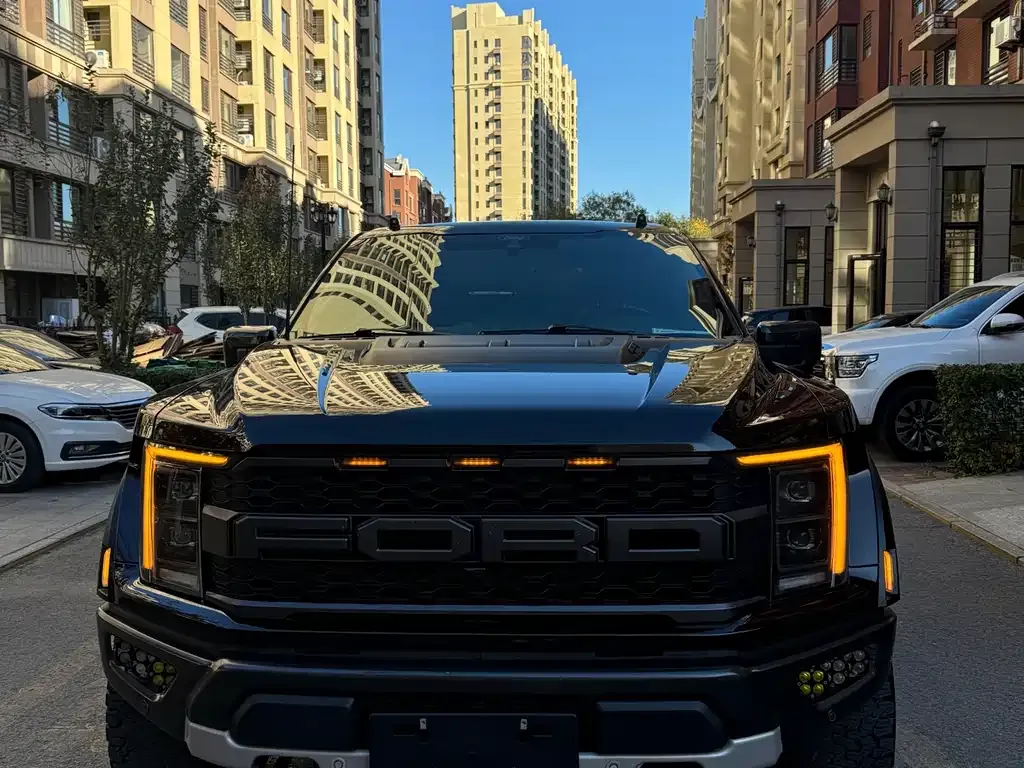 Ford F-150 Raptor — фото 1