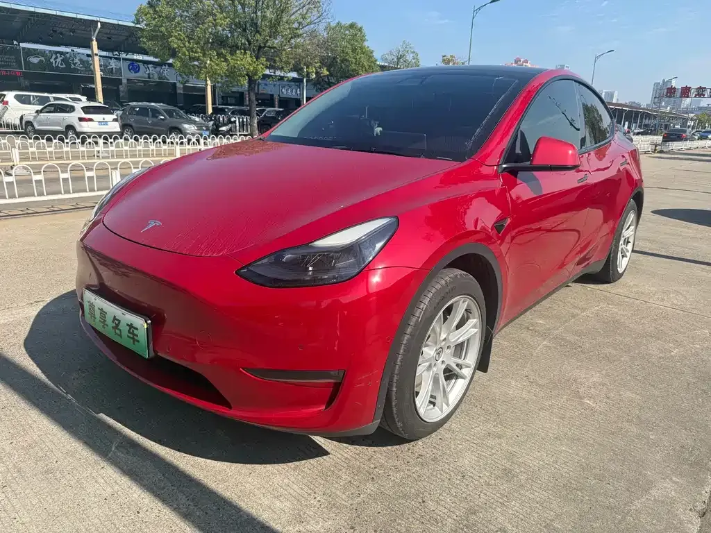 Tesla Model Y 2021 из CN, фото 1