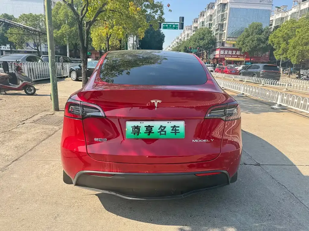 Tesla Model Y 2021 из CN, фото 10