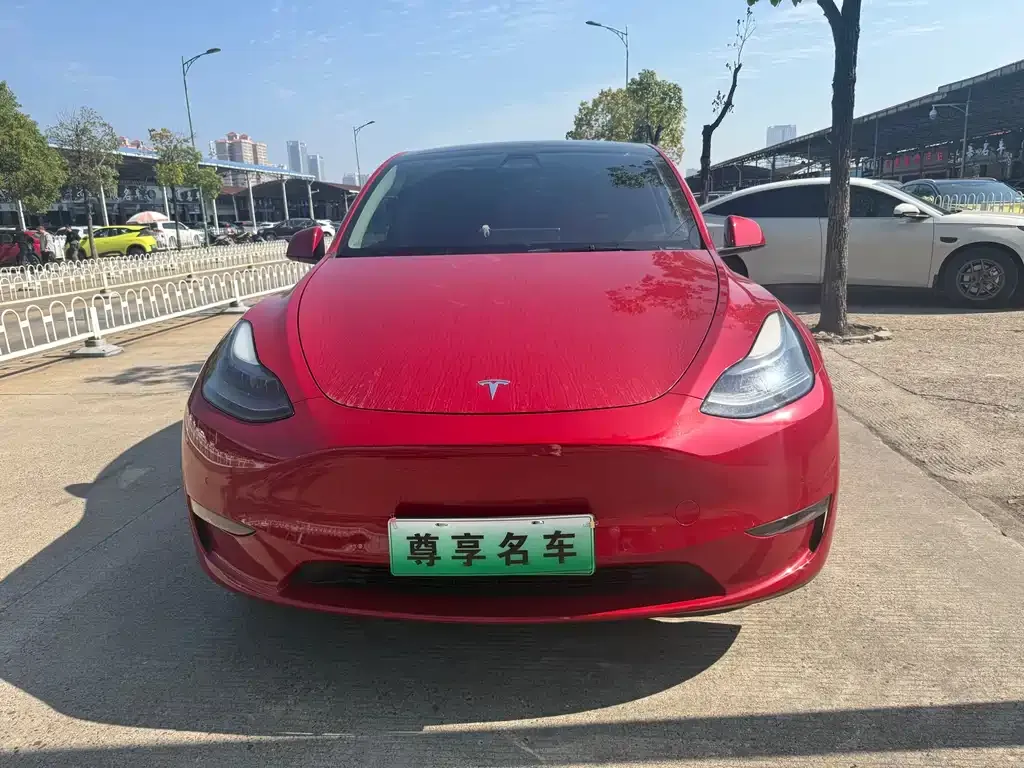 Tesla Model Y 2021 из CN, фото 2