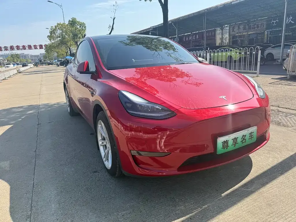 Tesla Model Y 2021 из CN, фото 3