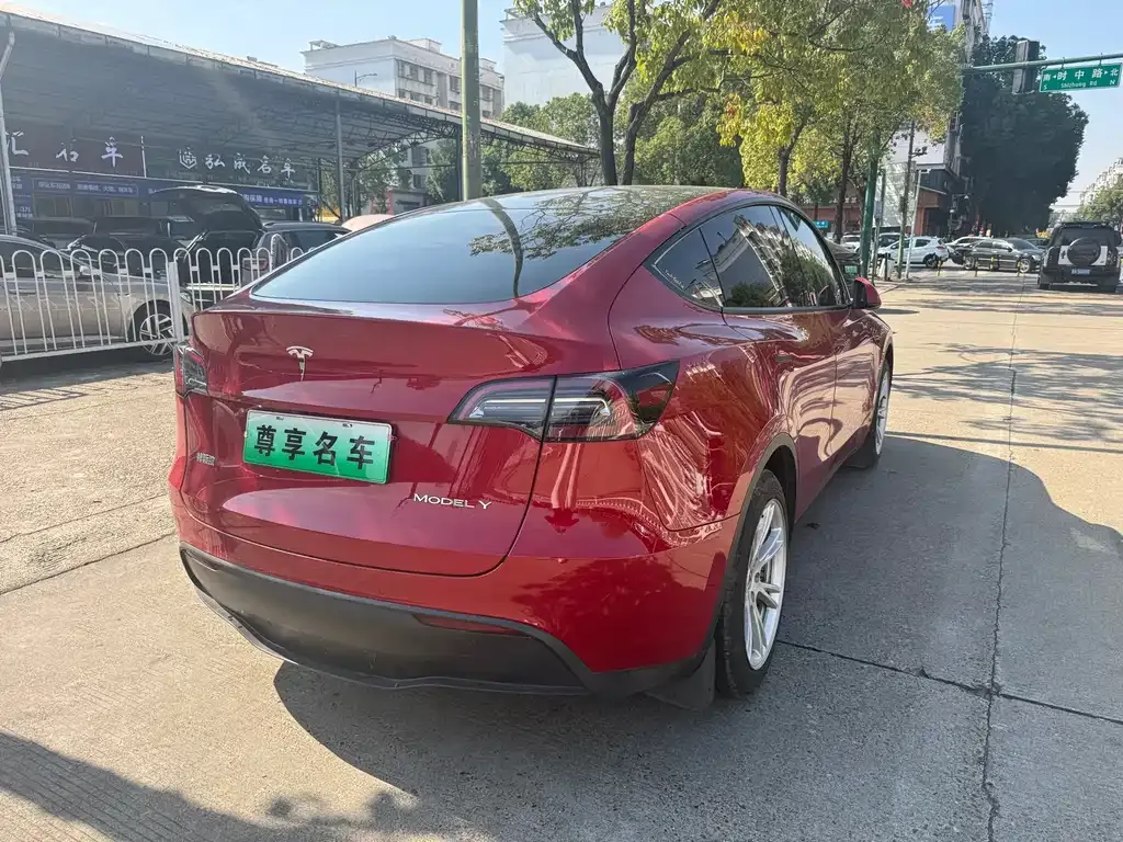 Tesla Model Y 2021 из CN, фото 9