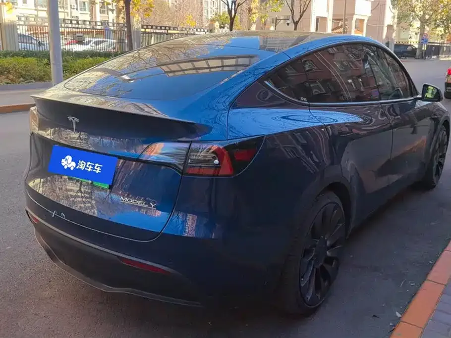 Tesla Model Y — фото 3