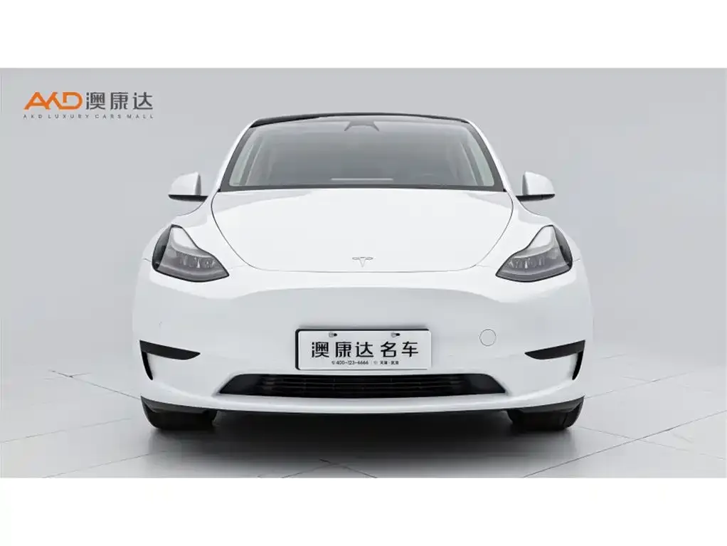 Tesla Model Y — фото 2
