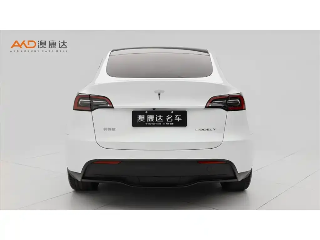 Tesla Model Y — фото 4