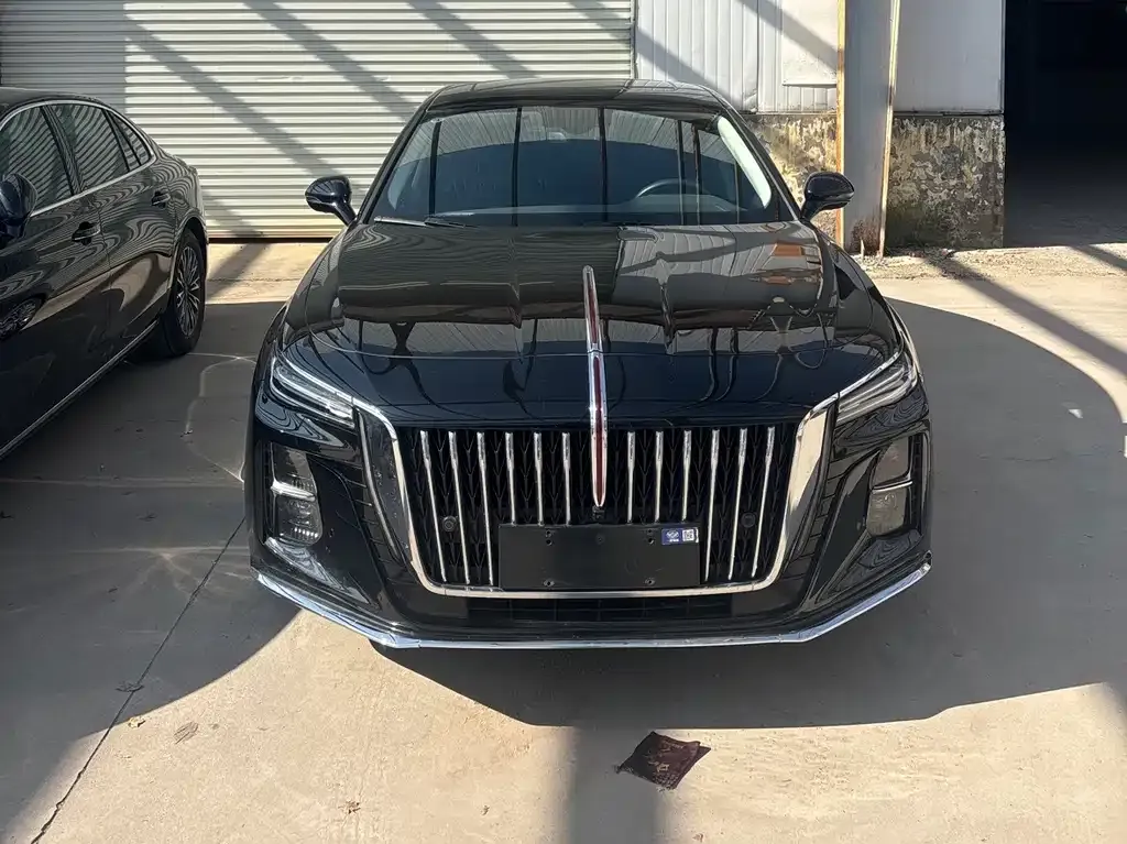 Hongqi H5 2023 из CN, фото 2
