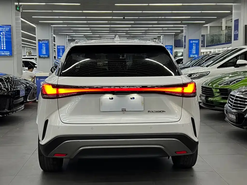 Lexus RX 2023 из CN, фото 10