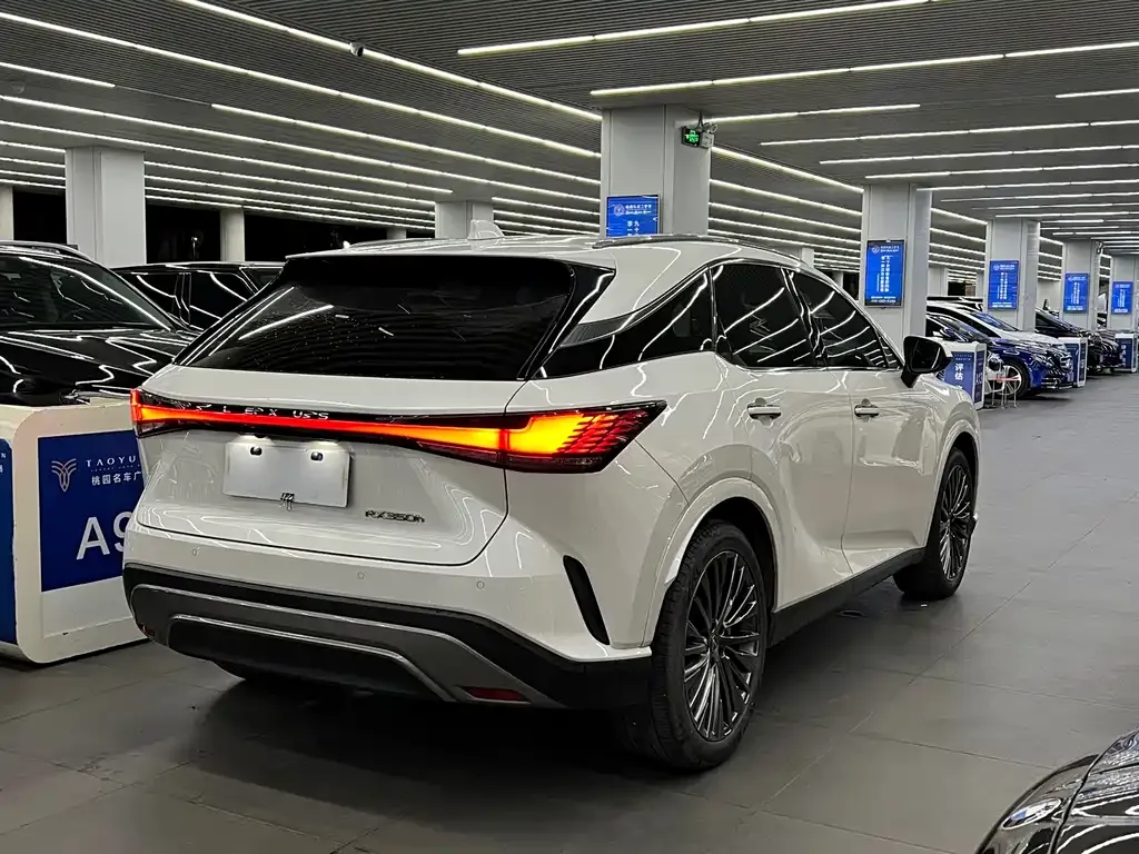 Lexus RX 2023 из CN, фото 9