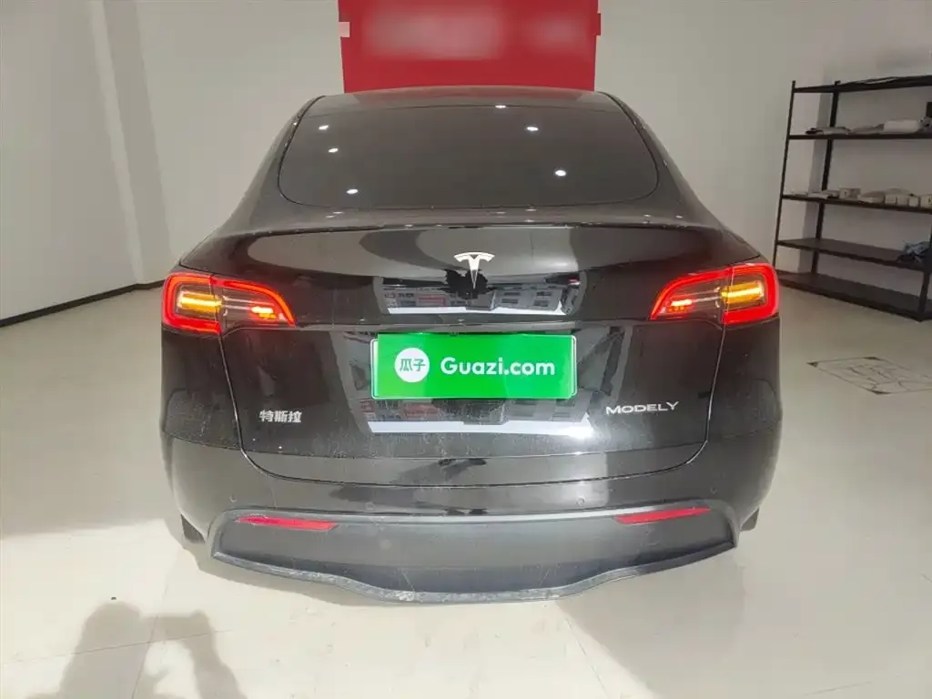Tesla Model Y 2023 из CN, фото 6