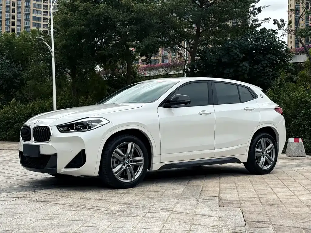 BMW X2 — фото 1