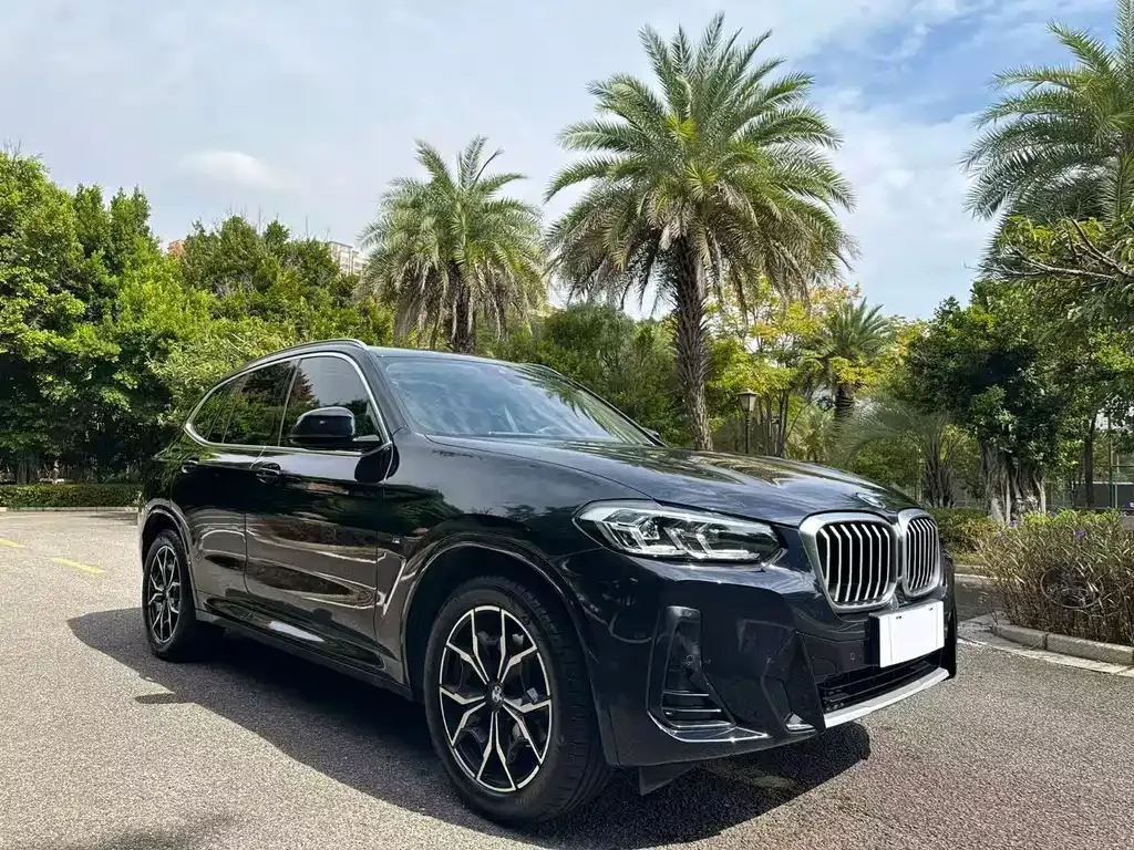 BMW X3 — фото 3