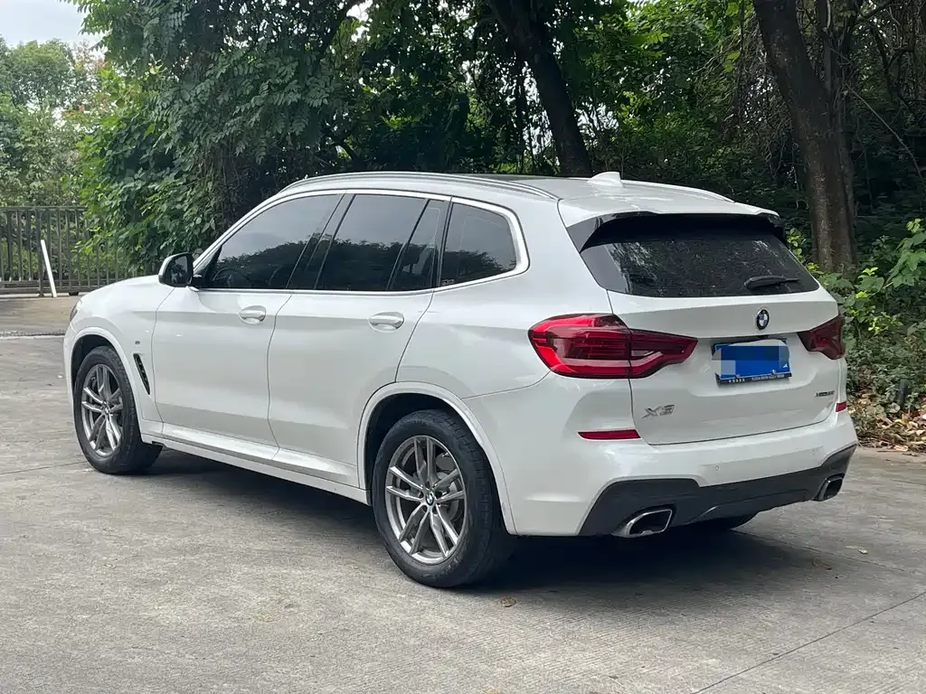 BMW X3 2021 из CN, фото 6