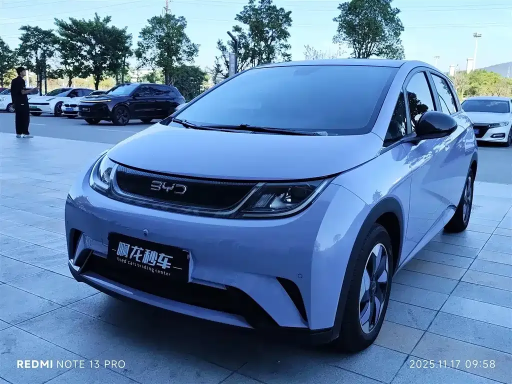 BYD Dolphin 2024 из CN, фото 1