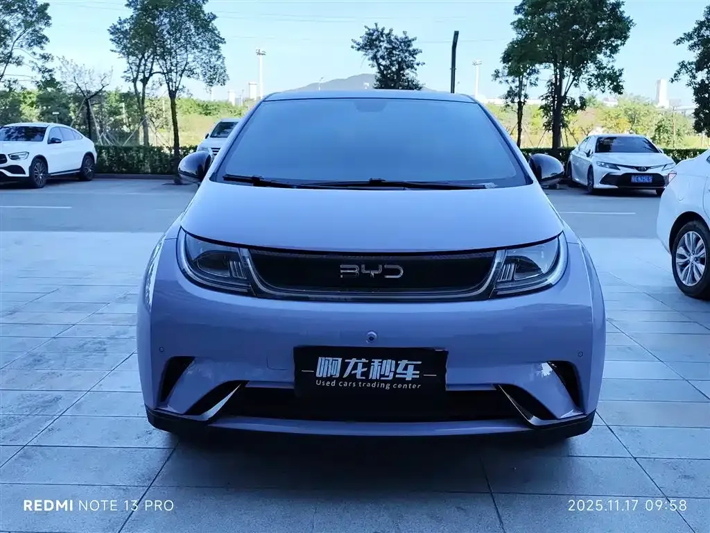 BYD Dolphin 2024 из CN, фото 2