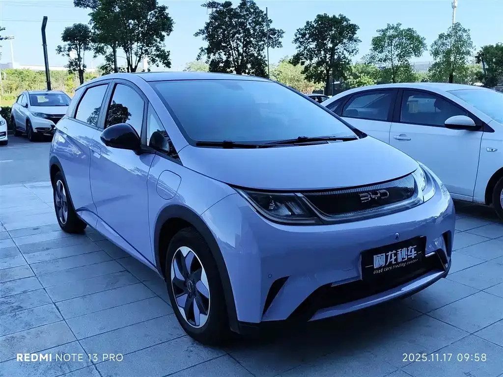 BYD Dolphin 2024 из CN, фото 3