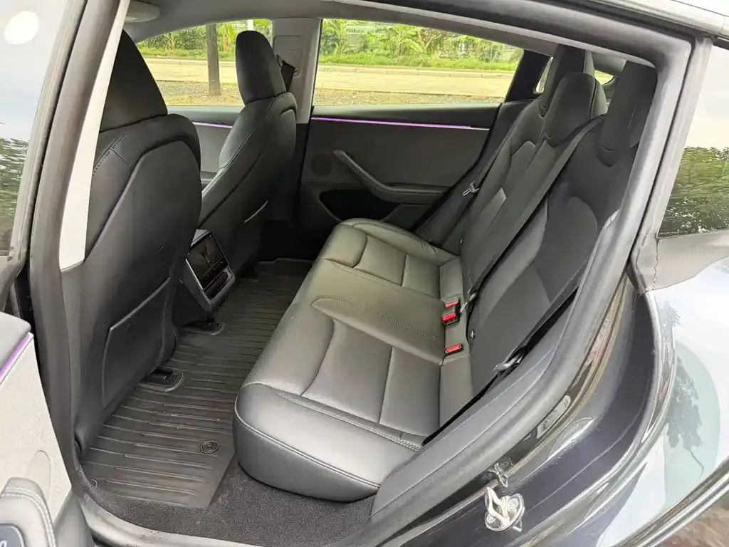 Tesla Model 3 2023 из CN, фото 6