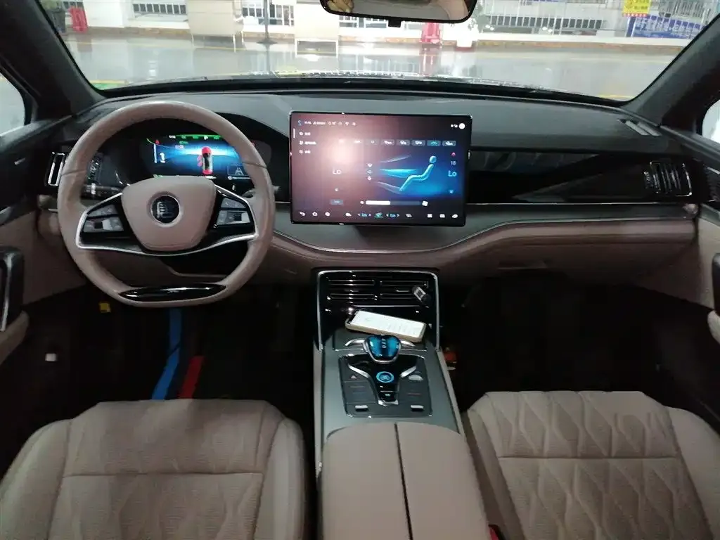 BYD Tang New Energy 2024 из CN, фото 10