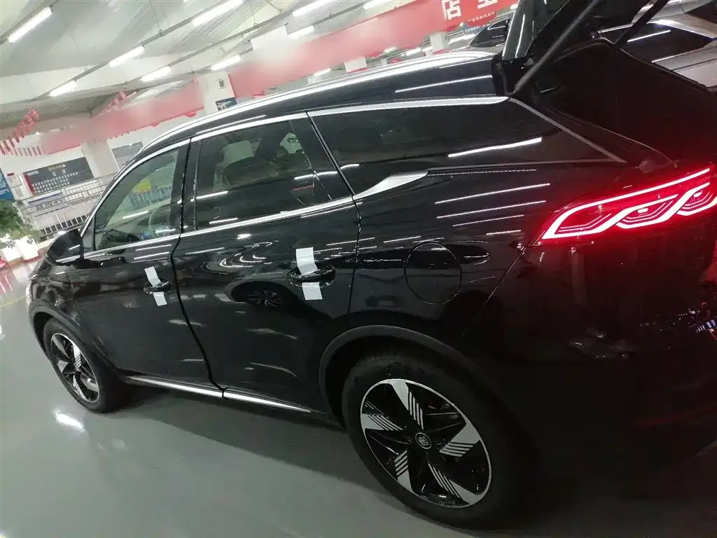 BYD Tang New Energy 2024 из CN, фото 5