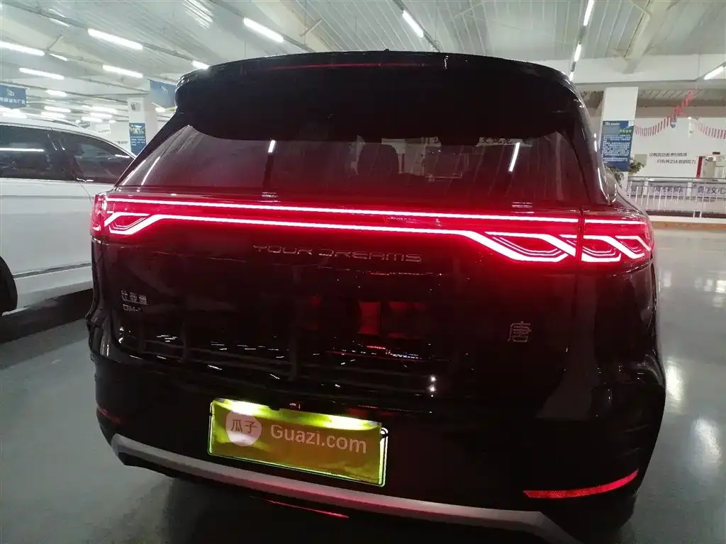 BYD Tang New Energy 2024 из CN, фото 6
