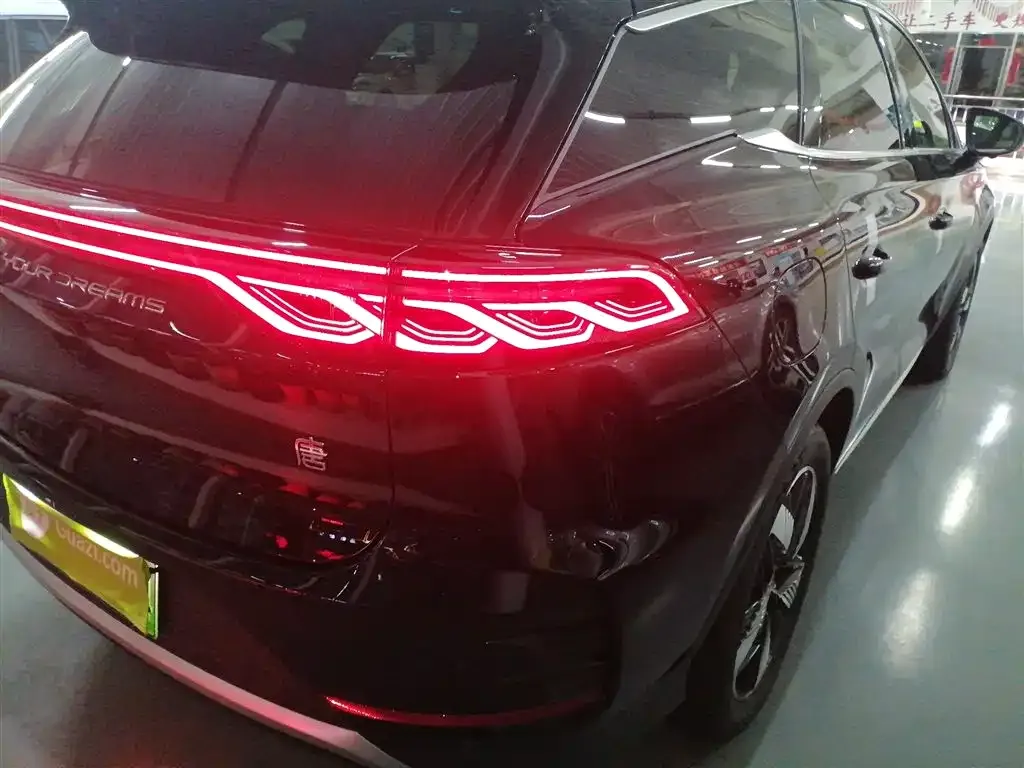 BYD Tang New Energy 2024 из CN, фото 8