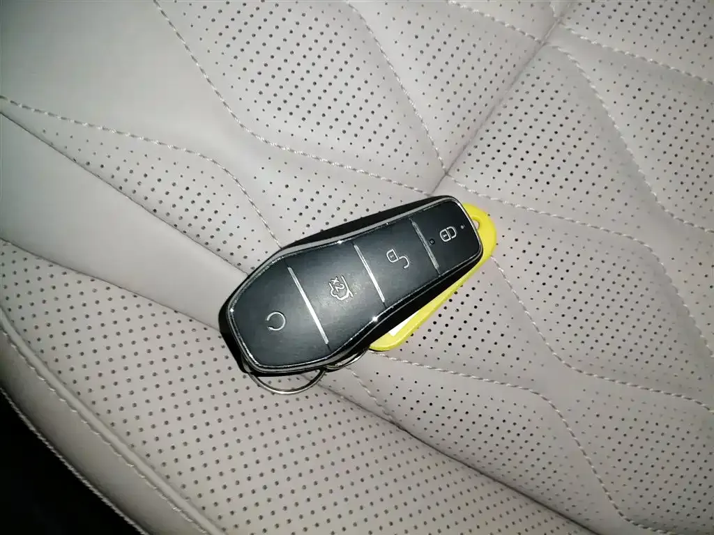 BYD Tang New Energy 2024 из CN, фото 9