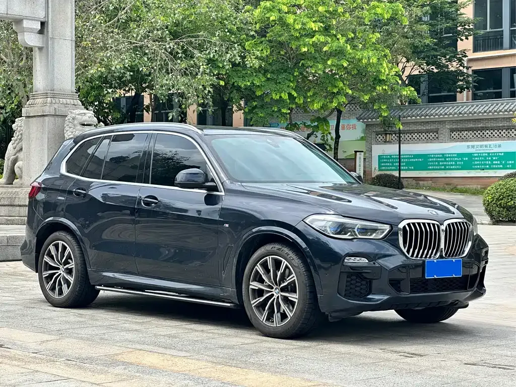 BMW X5 (Import) 2021 из CN, фото 3
