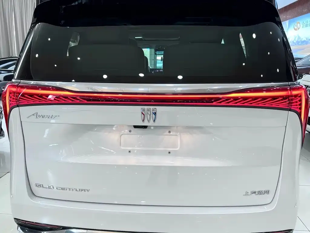 Buick Century 2025 из CN, фото 5