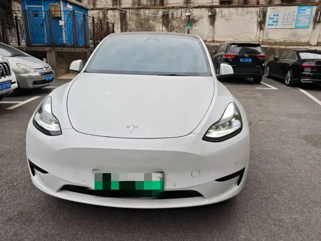 Tesla Model Y — фото 2