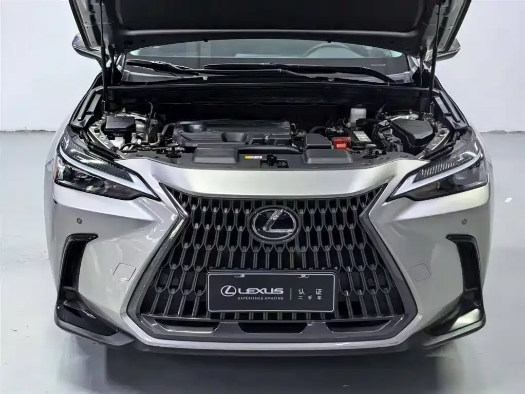 Lexus NX — фото 2