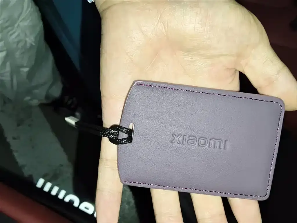 Xiaomi SU7 2024 из CN, фото 10