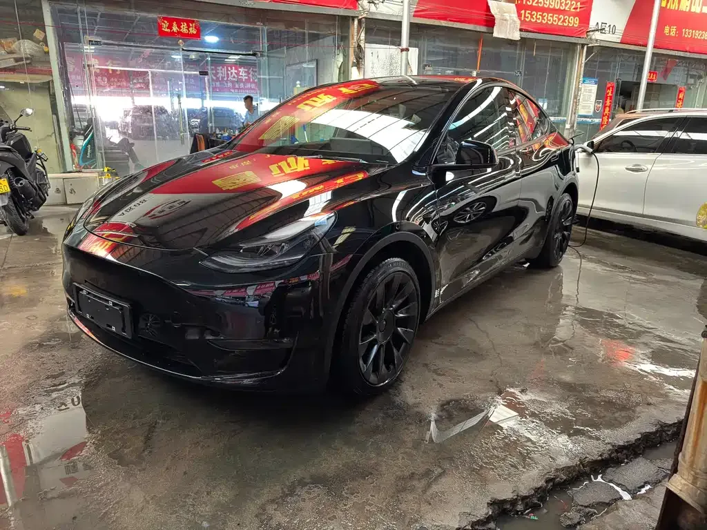 Tesla Model Y 2021 из CN, фото 1