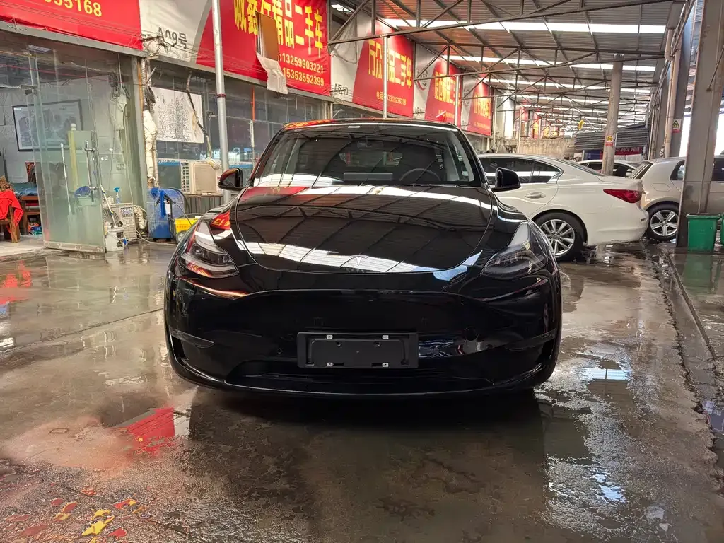 Tesla Model Y 2021 из CN, фото 2