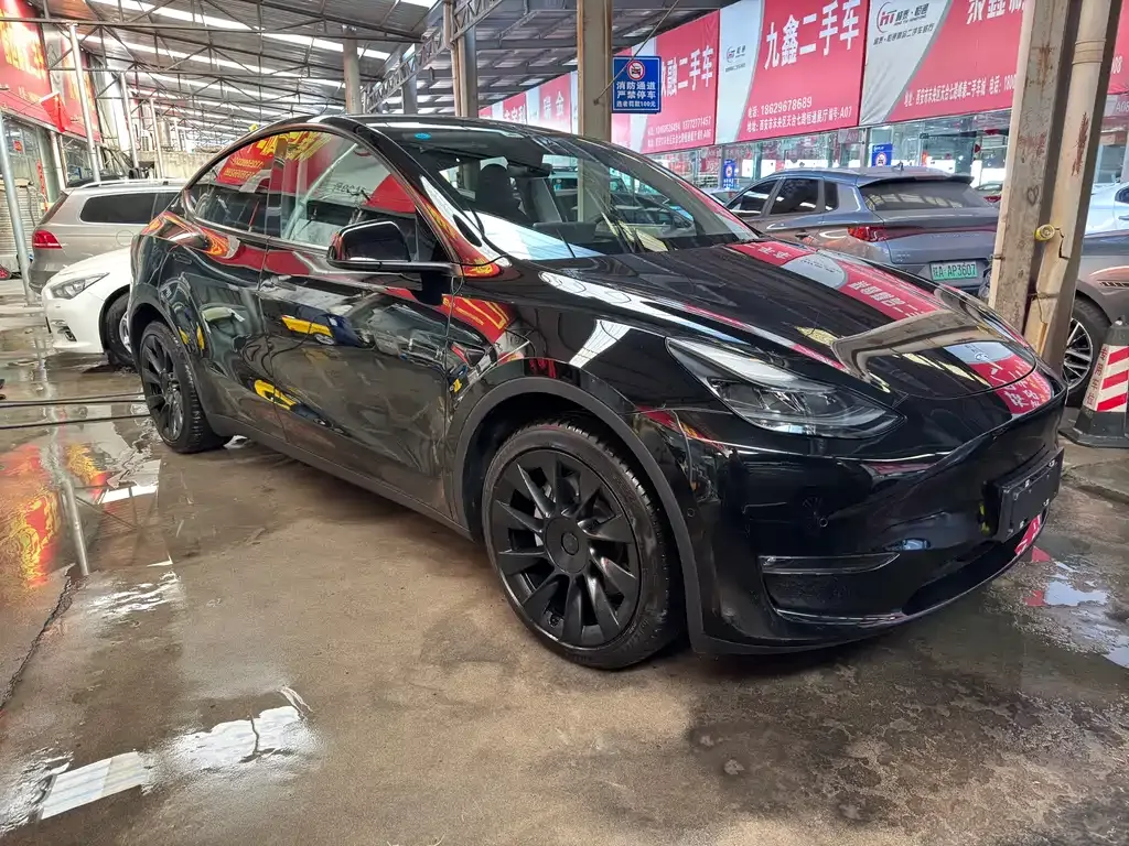 Tesla Model Y 2021 из CN, фото 3