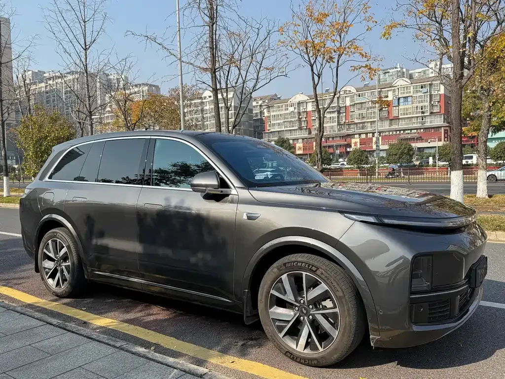 Li Auto L8 — фото 3