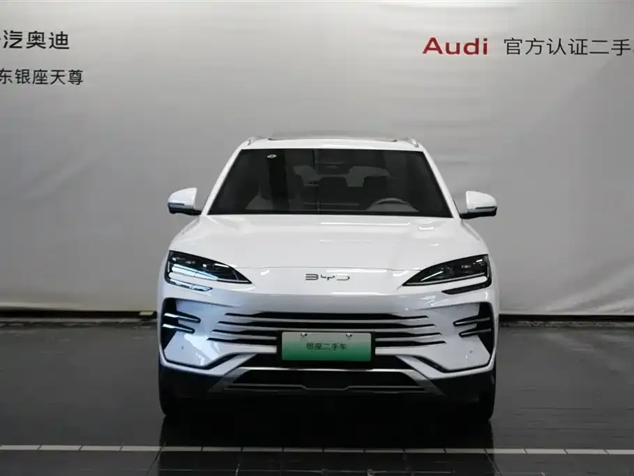 BYD PLUS New Energy 2025 из CN, фото 2