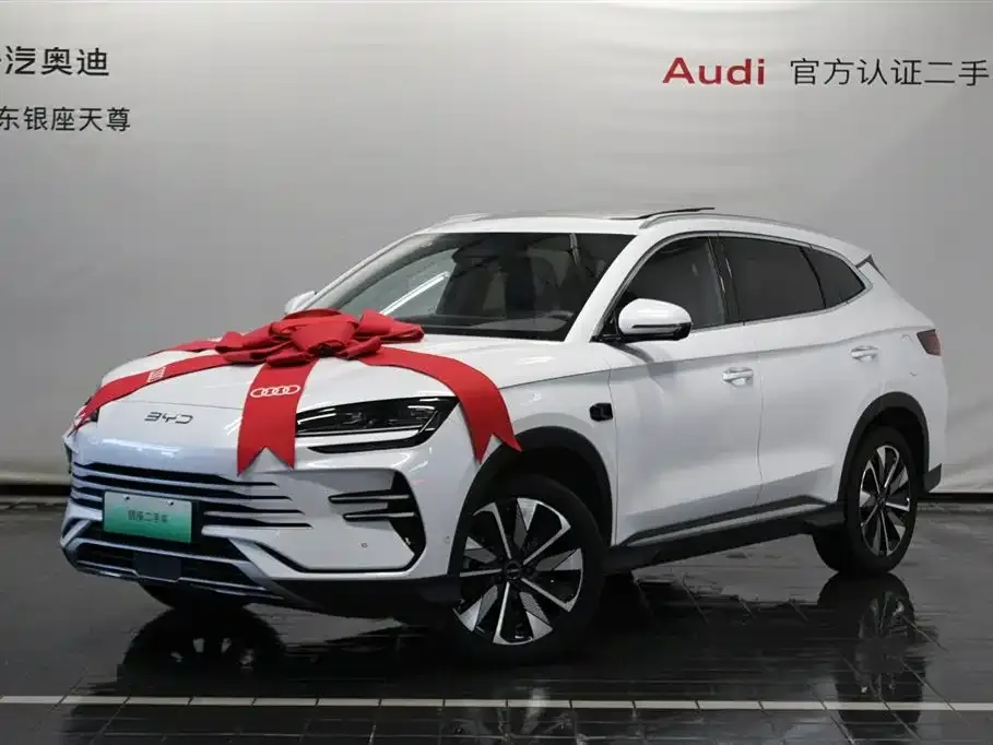 BYD PLUS New Energy 2025 из CN, фото 3