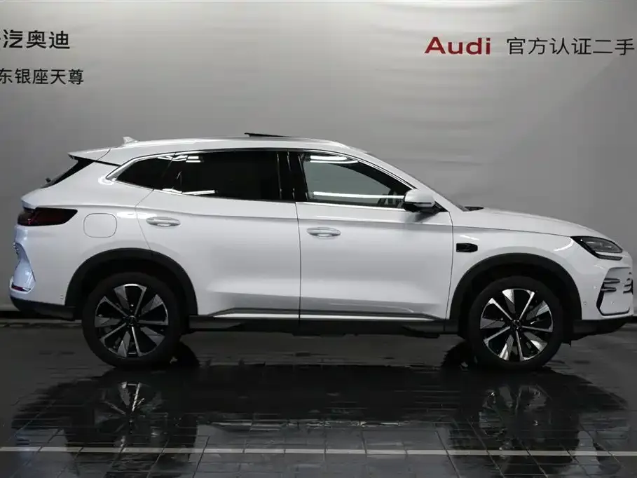 BYD PLUS New Energy 2025 из CN, фото 4
